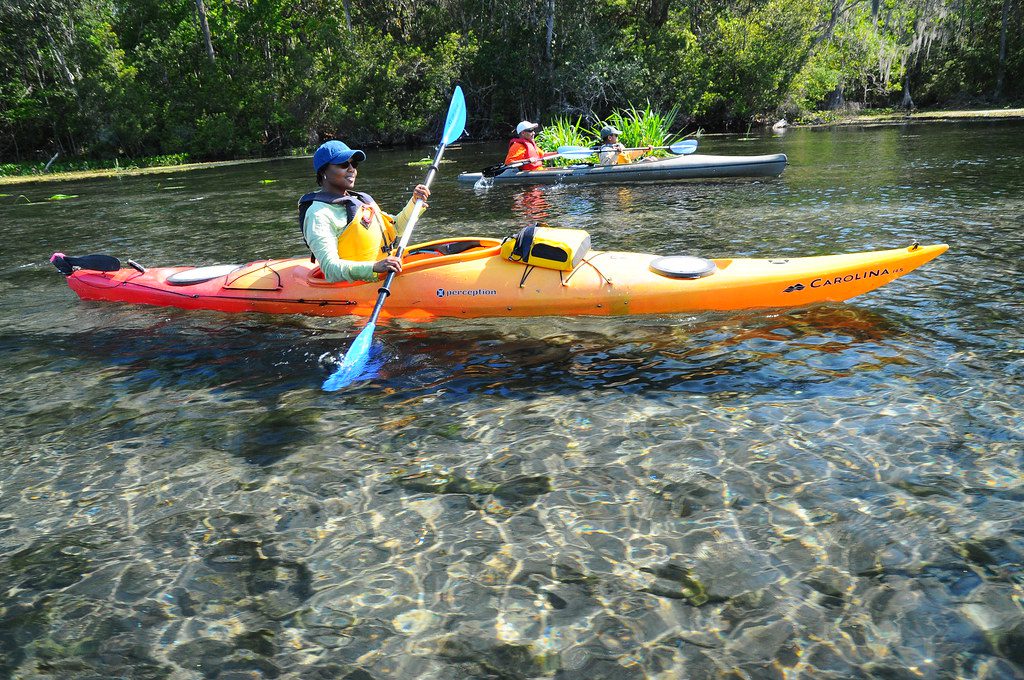 kayaking with manatees