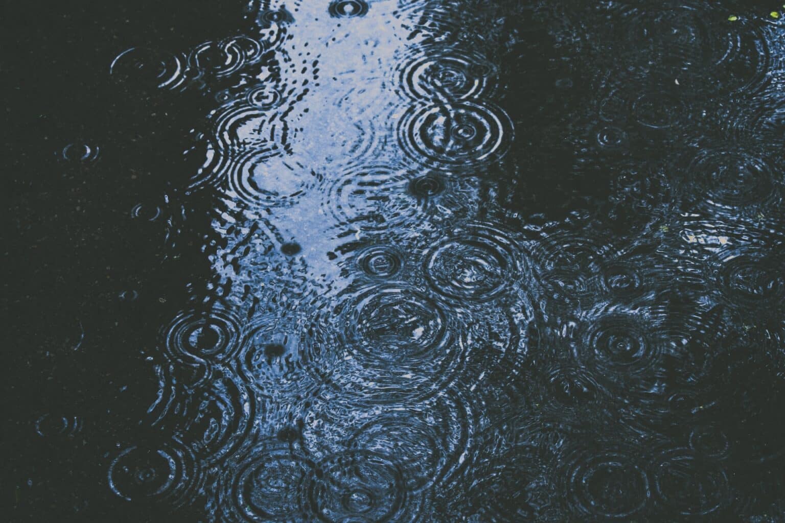 Close-up of raindrop ripples on dark water surface